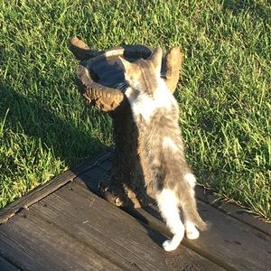 Meet your Posher, Grace